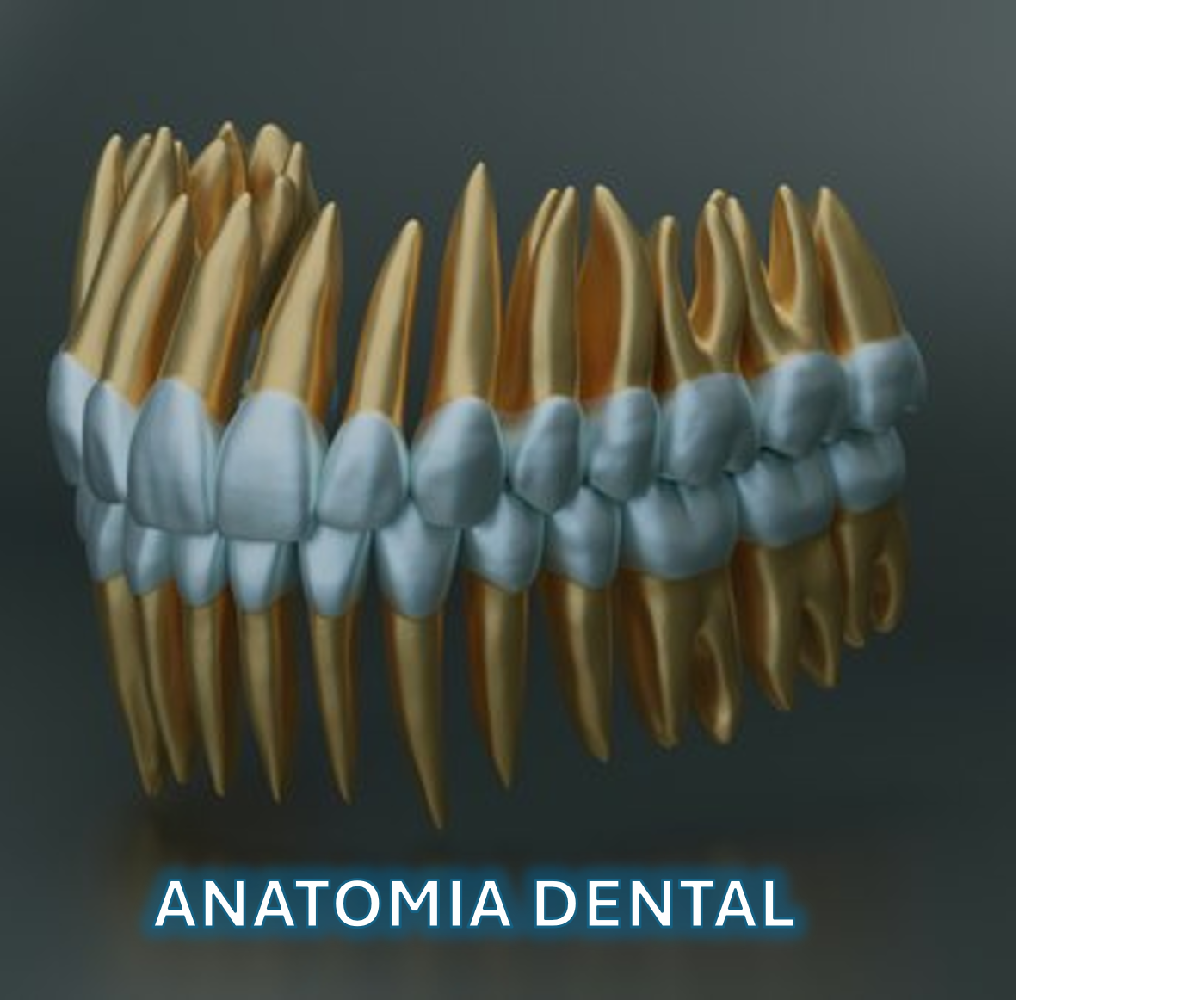 ANATO DENTAL